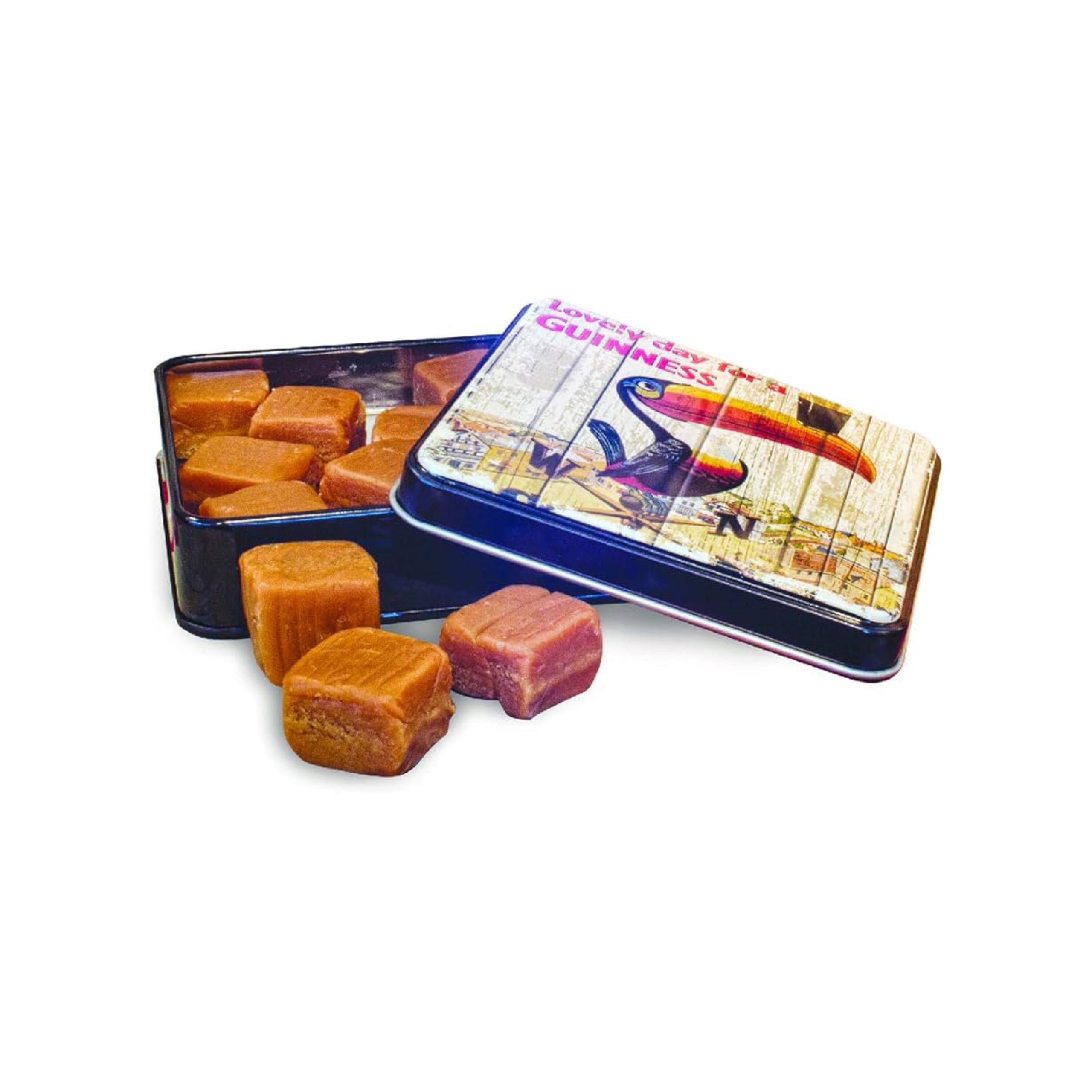 Gift Tin Fudge 100g - Toucan