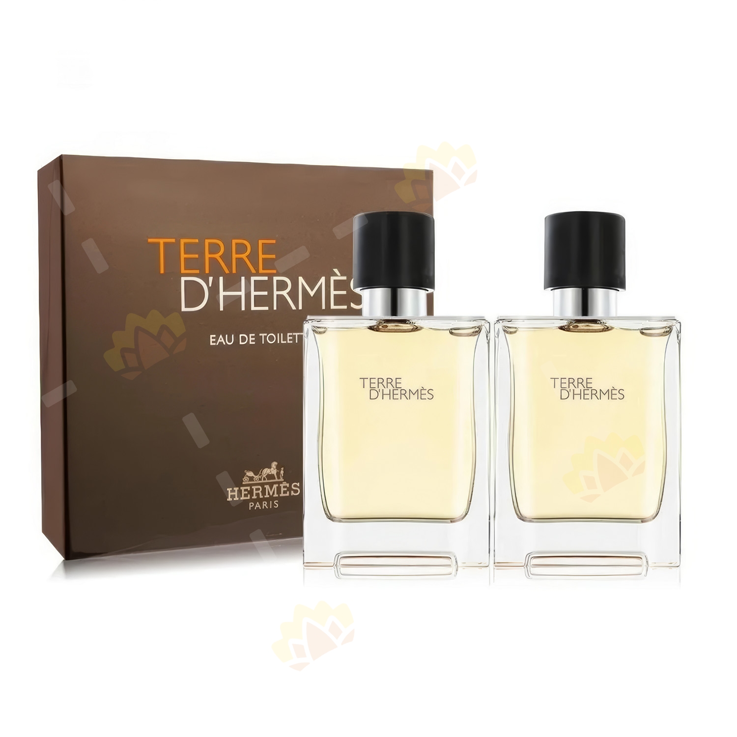 Hermes Terre D'Hermes Gift Set 100ml + 80ml Eau De Toilette